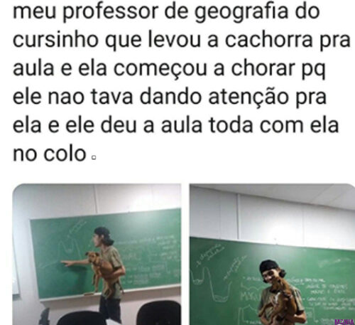 Meu professor levou um cachorro para sala de aula