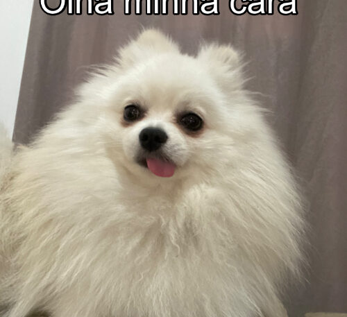 Olha minha cara De quem tá ligando