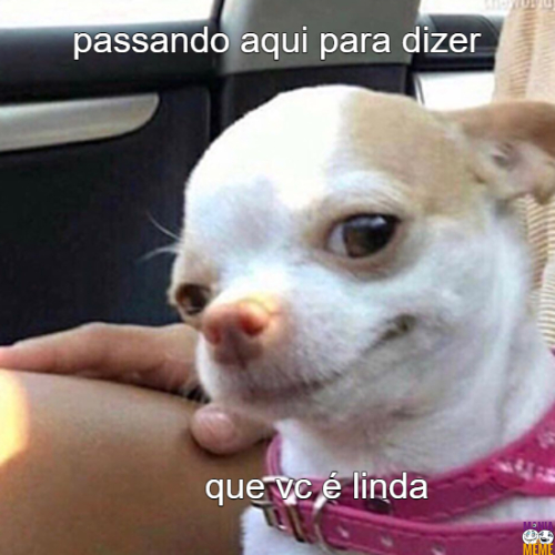 passando aqui para dizer… que vc é linda