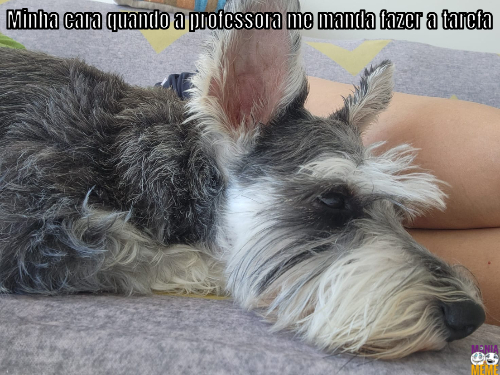 Minha cara quando a professora me manda fazer a tarefa…